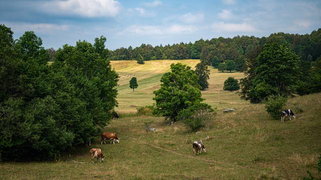 Mjesto tragične ljubavne priče, slavne pobune i susreta sakralnog i svjetovnog