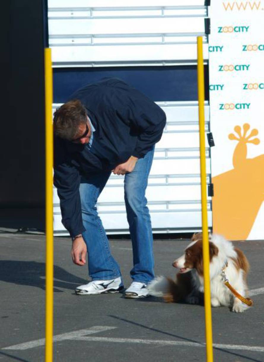 Tomislav Miletic/PIXSELL