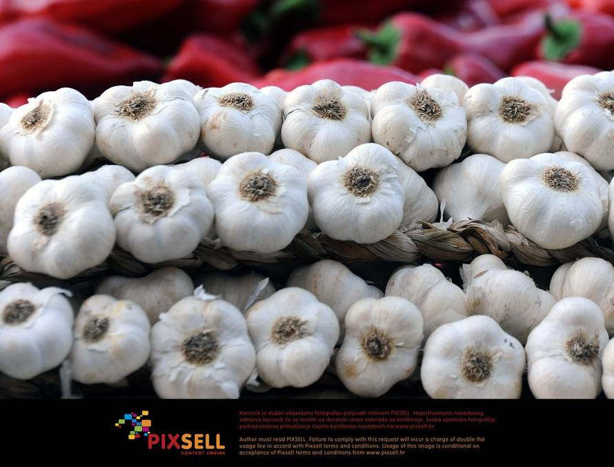 Hrvoje Jelavić/Pixsell