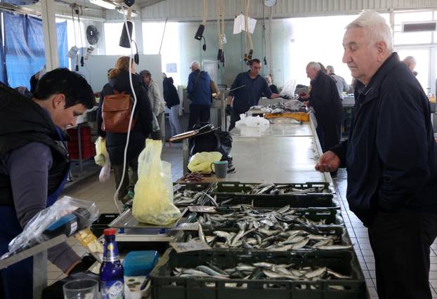 Šibenik: Poskupljenje plavog dizela još se nije odrazilo na cijene u ribarnici