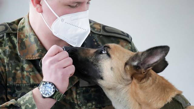 A member of a military poses with Filou, the 3-year-old Belgian shepherd which is able to detect COVID-19 in humans' saliva samples in Hanover
