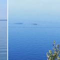 Čudesni prizori: Kit plivao kod Orebića, 200 metara od plaže