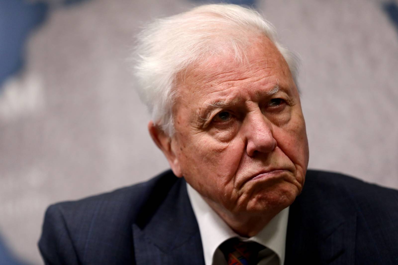 FILE PHOTO: David Attenborough accepts the annual Chatham House award in London