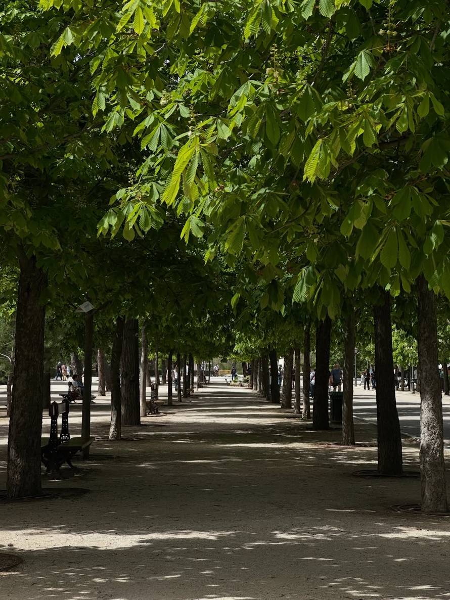 Maja i Šime zvijezde su i u Aziji: Pjevačica podijelila prizore koji su iznenadili mnoge fanove...