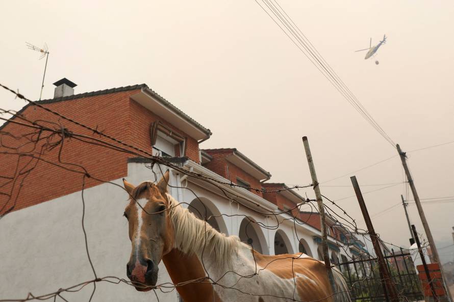 Wildfire in El Tiemblo, Spain