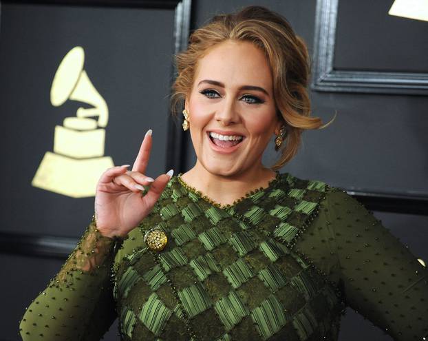 59th Annual Grammy Awards - Arrivals - Los Angeles