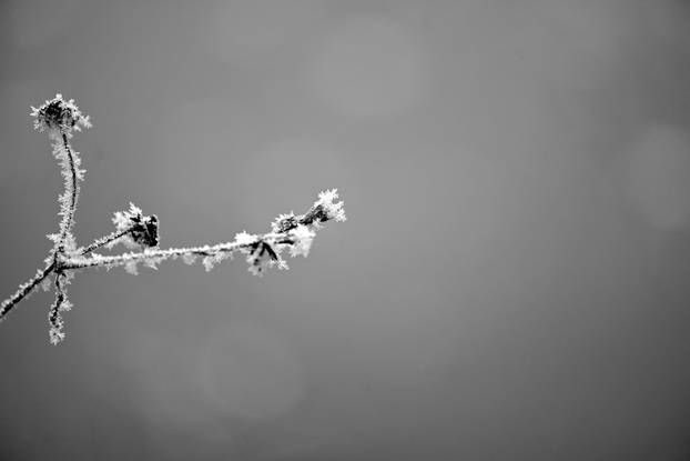 Zagreb: Gusta magla sakrila boje parka Maksimir