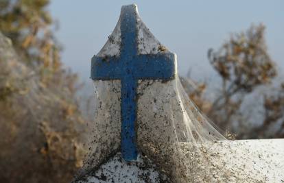 Pauci oko grčkog jezera ispleli  mrežu od čak tisuću metara