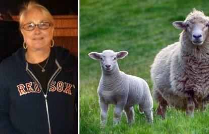 Ovca ubojica usmrtila ženu (73) na terapijskoj farmi u SAD-u