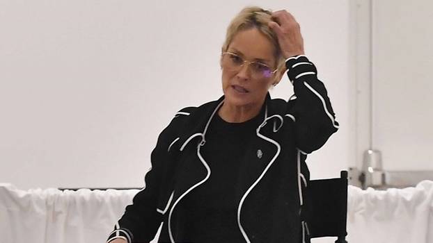 Sharon Stone speaks to a panel of Women at the Gagosian Art Gallery