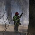 Šumski požari kod Bordeauxa: Na terenu je 120 vatrogasaca