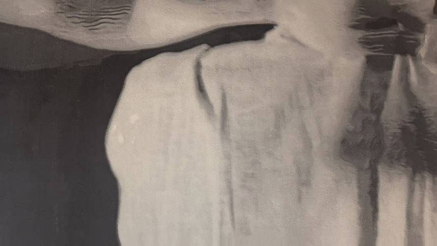 Evo kada je premijera plesne predstave redatelja Luke Švajde