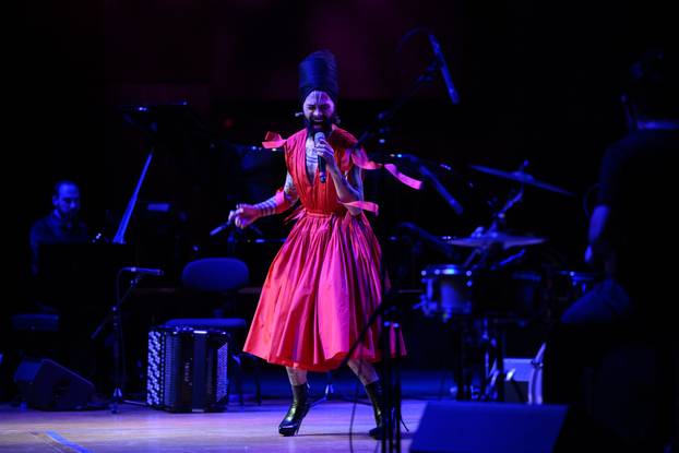 Zagreb: Božo Vrećo održao koncert u popunjenoj dvorani Lisinski