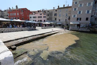 FOTO Na Mljetu je temperatura mora bila čak 30°C, u Rovinju cvjetanje mora otjeralo kupače