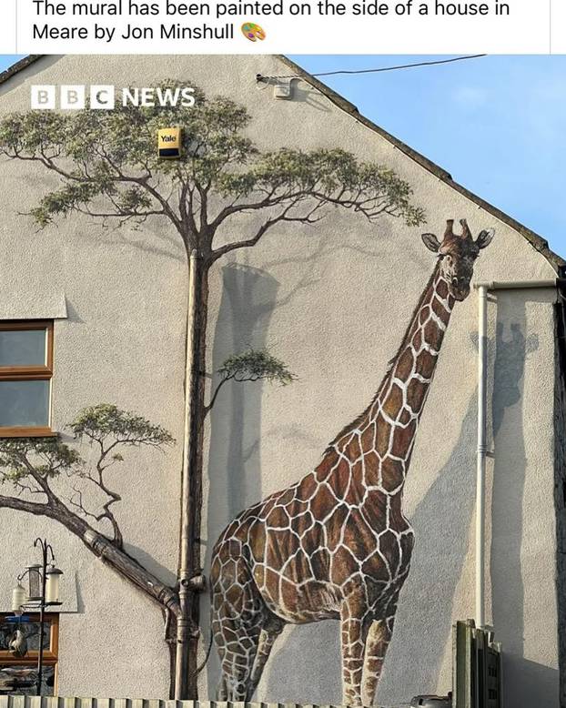FOTO Umjetnik iscrtava murale na domovima: Pogledajte vrt na vanjskom zidu kuće!