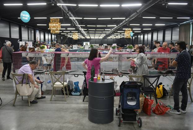 Zagreb: Međunarodna izlozba mačaka privukla brojne posjetitelje u Family Mall