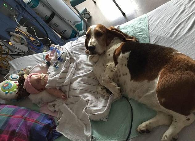 Pas ležao uz bebu do zadnjeg daha: 'Otišlo je naše čudo...'