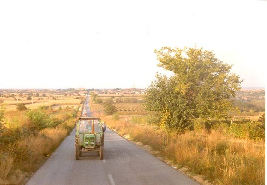 Ilok je JNA doslovno ispraznila od Hrvata: One koji kažu da ovo nije srpsko samo ubite kao kera