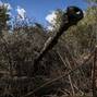 Ukrainian servicemen prepare to fire a M109 self-propelled howitzer towards Russian troops in Donetsk region