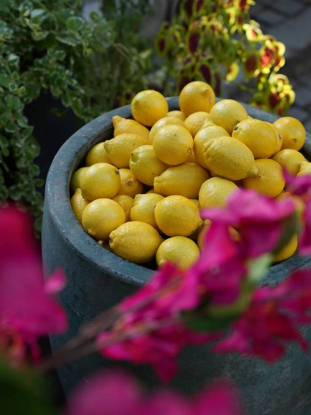 Maja Šuput objavila je fotke s rođendana: Uz nju je bio i Šime, pogledajte kako je proslavila