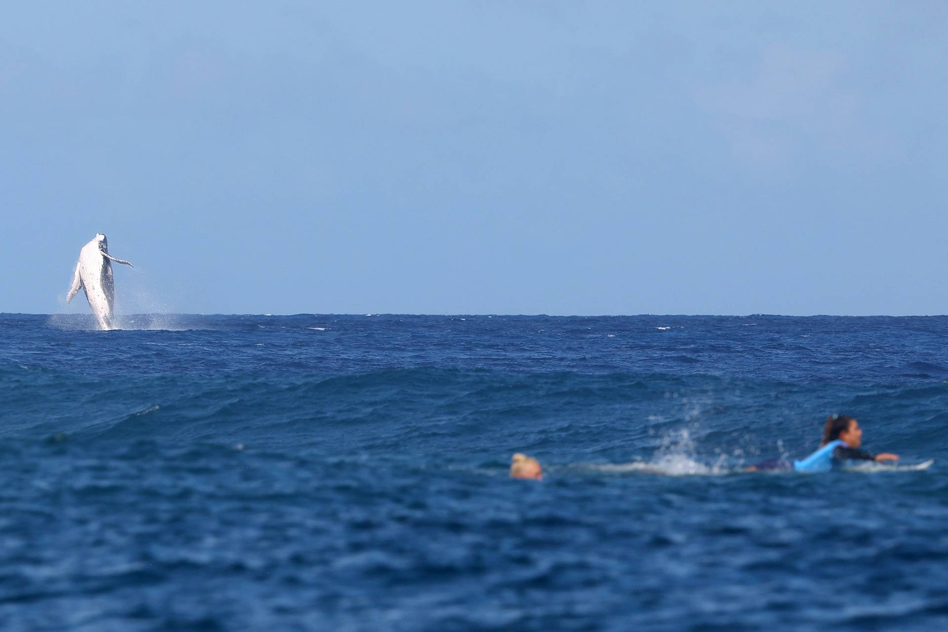 Surfing - Women's Semifinals - Heat 2