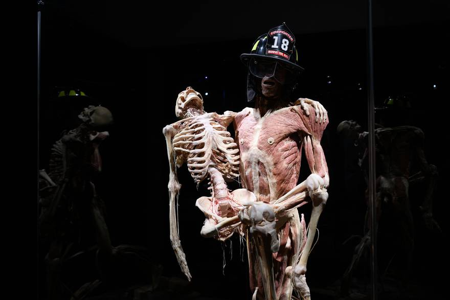 Zagreb: Konferencija uoči otvorenja izložbe seciranih ljudskih tijela Body Worlds Vital