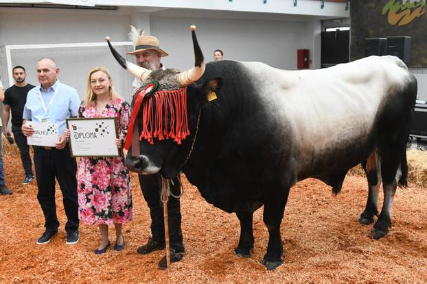 Gudovac: Boškarin Monte osvojio šampionsku titulu i prestižno šampionsko zvono