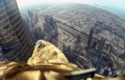 Kamerom snimili prekrasni let orla s najviše zgrade na svijetu