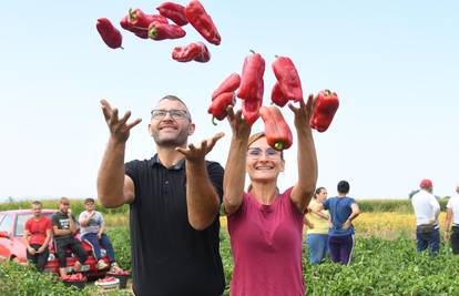 Pobjeda života: Dobio sam novi bubreg, ali njive se ne odričem