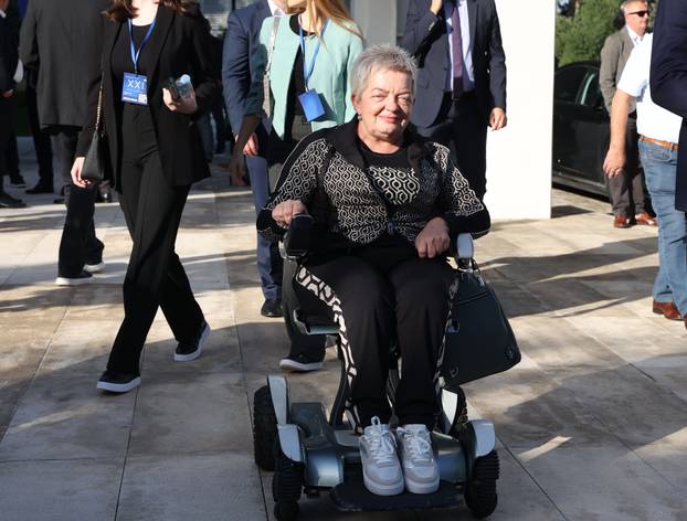 Šibenik: Opći sabor HDZ-a