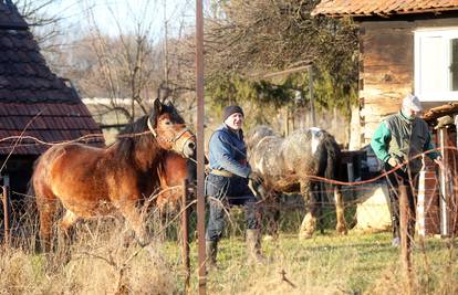 Požar progutao štalu, a vlasnik je uspio na vrijeme izvući konje