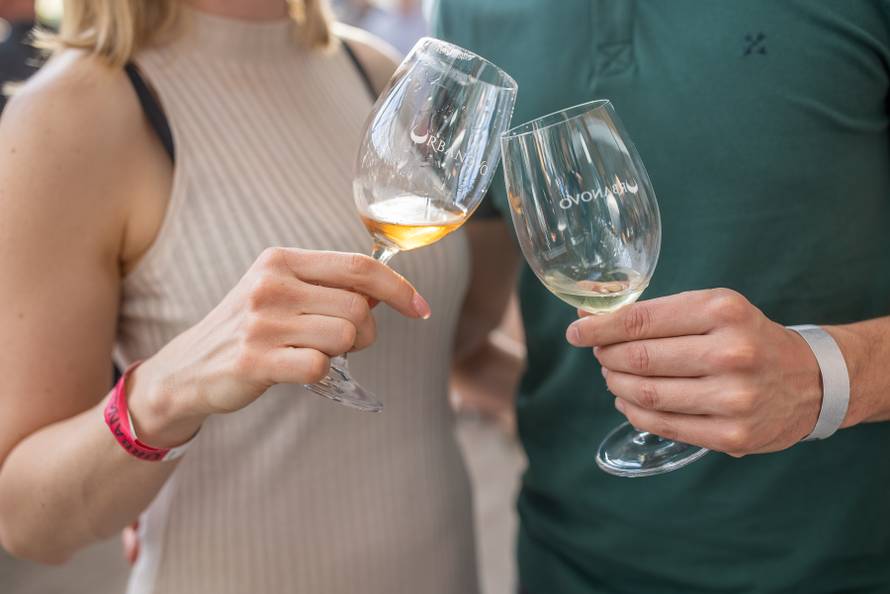 Izaberite pravu čašu za vino: Ona utječe na doživljaj kušanja