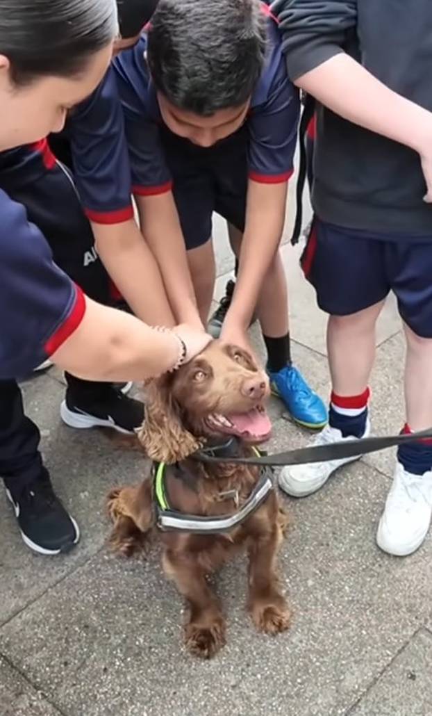FOTO Ovo je preslatki policijski pas Ozzy, nazvan po Osbourneu. Birmingham oplakuje legendu