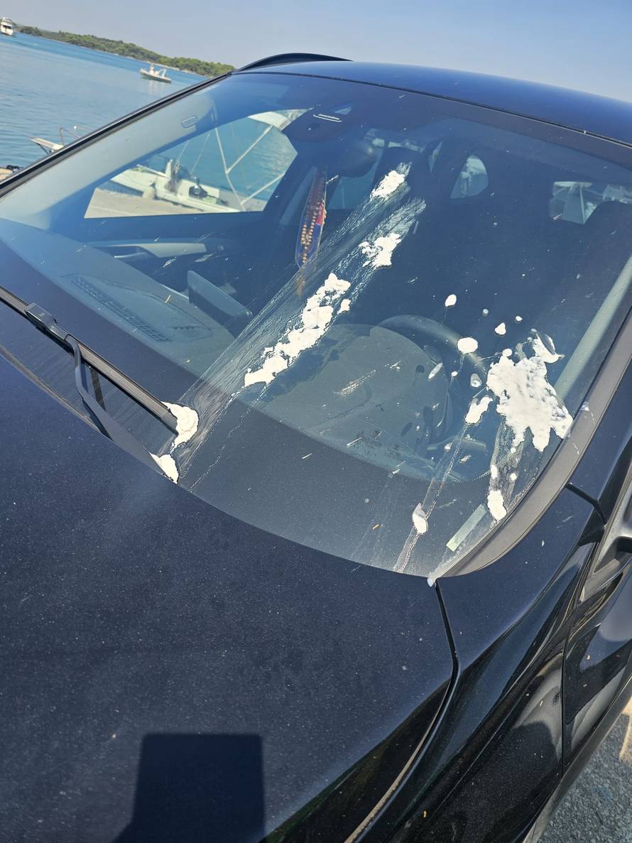 Sramota! Na Murteru im oštetili auto zbog Dinamove zastavice: 'Neću je skinut! Nema predaje'