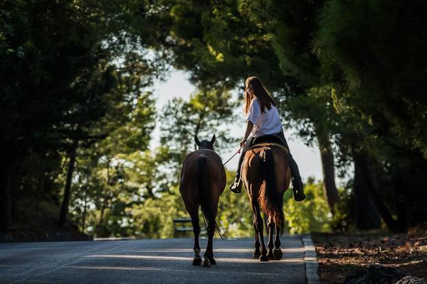 Split: Konji u Park šumi Marjan