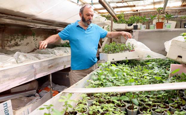 Split: Denis Bojčić, kolekcionar bugenvila