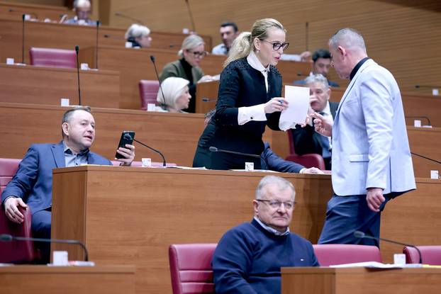 Zagreb: Sabor raspravlja o zdravstvenom nadzoru radnika izlo&zcaron;enih azbestu