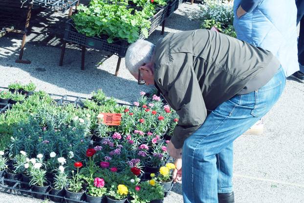 Sisak: Subotnja ponuda cvijećana tržnici