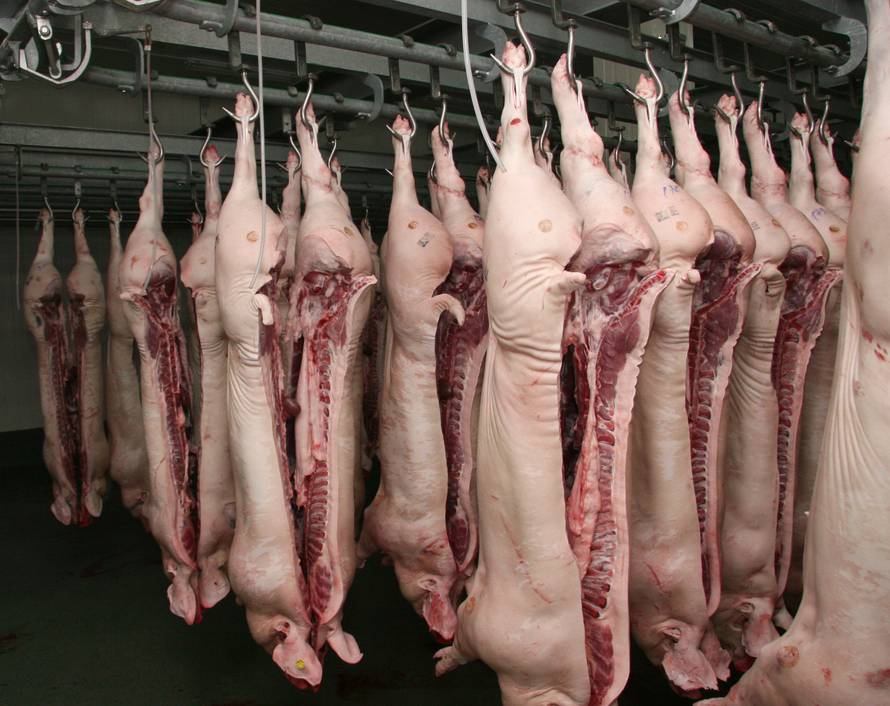 Bili na kolinju: Pet muškaraca zarazilo se opakom trihinelom