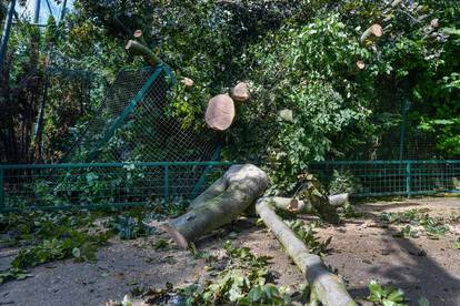 Evo kako dan nakon oluje koja je poharala Zagreb izgleda Zoo:  'Vrt je zatvoren do daljnjega'