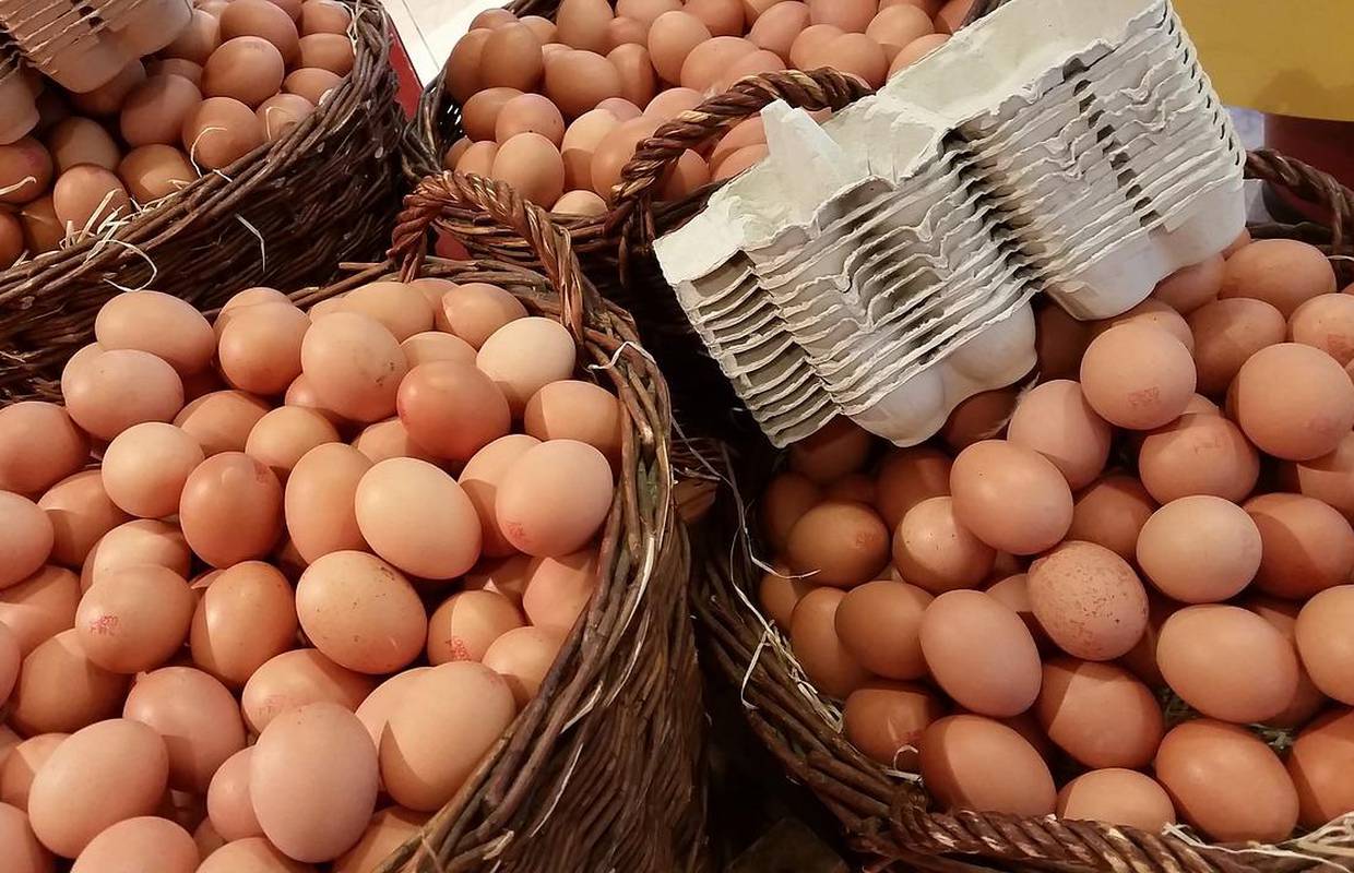 Ptičja gripa i rat u Ukrajini ugrozili svjetsku opskrbu jajima