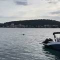 VIDEO Snimio dupina u moru kod Murtera: 'Pobojao sam se da se radi o morskom psu...'