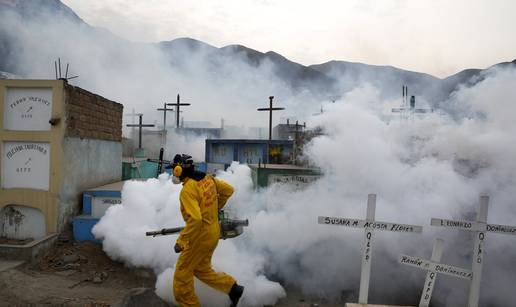 Cjepiva nema, a virus se širi: Zika opasnija nego što mislimo