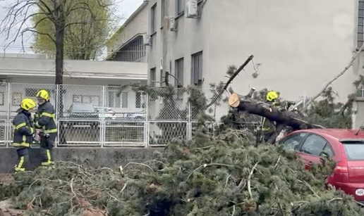 VIDEO Vjetar sru&scaron;io stablo na Tre&scaron;njevci, palo na tri auta