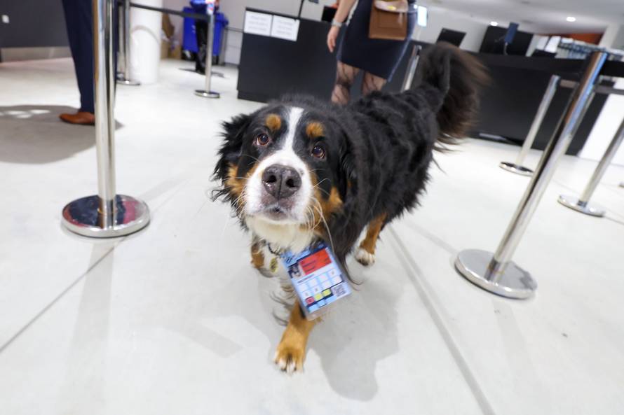 Herning: Navijači očekuju početak utakmice Hrvatska i Njemačka u polufinalu EHF Europskog prvenstva