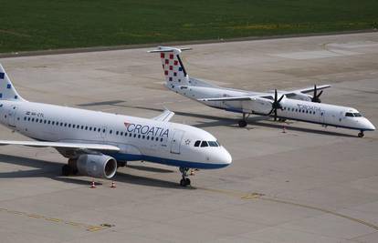 Ptica je umalo uništila avion u kojem je trebao putovati Bauk