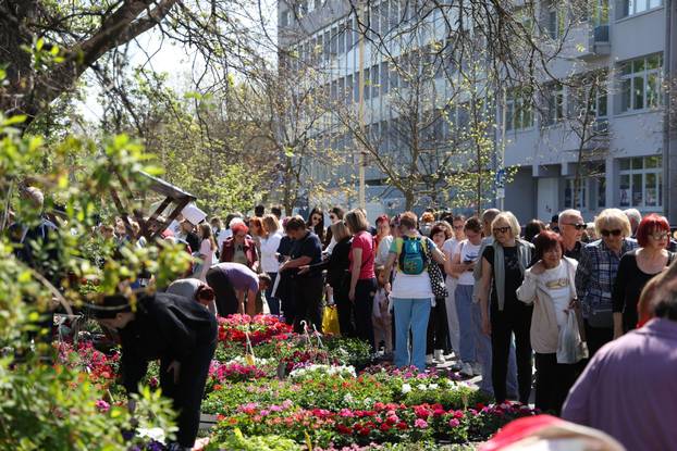 Osijek: Festival cvijeća i drveća 2026.