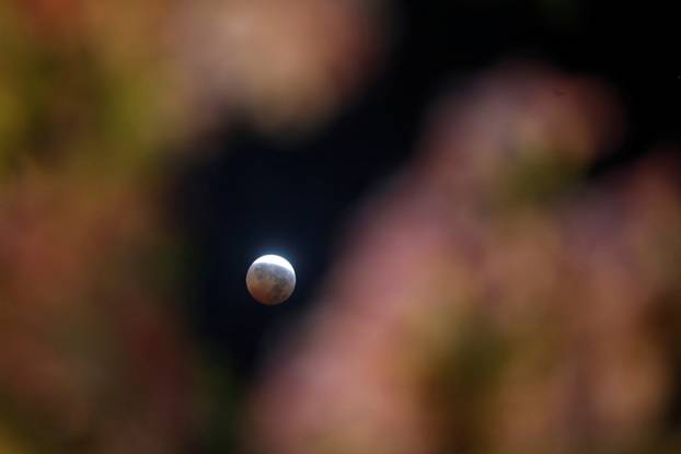 Total Lunar Eclipse in San Salvador