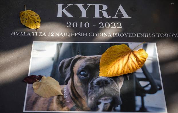 Zagreb: Groblje kućnih ljubimaca u Dumovcu obišao je jedino jedan mačak