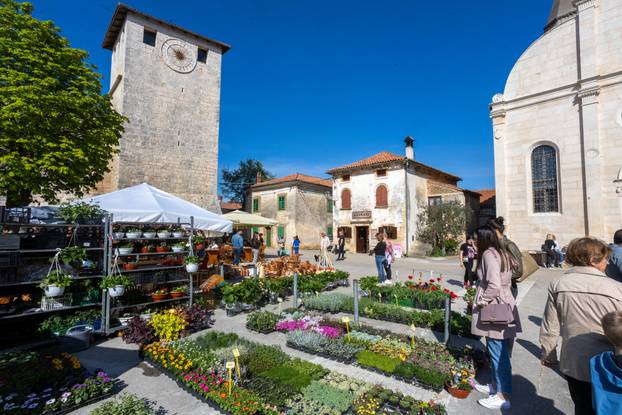Svetivinčenat: Fešta od Rožic